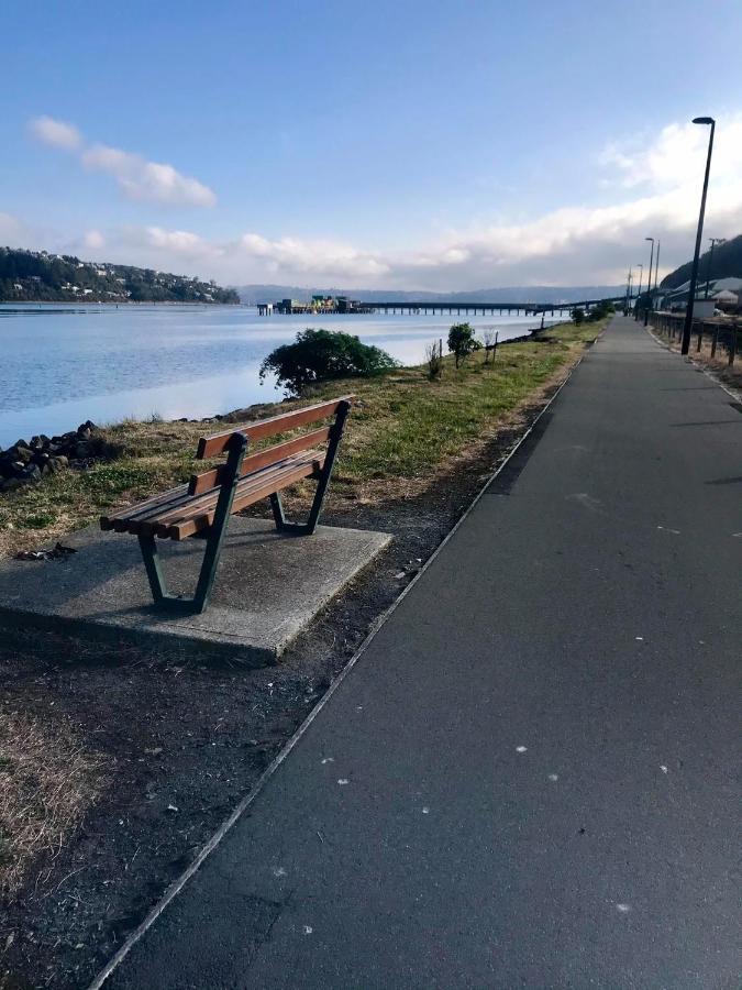 Harbour Side Views Villa Dunedin Exterior photo